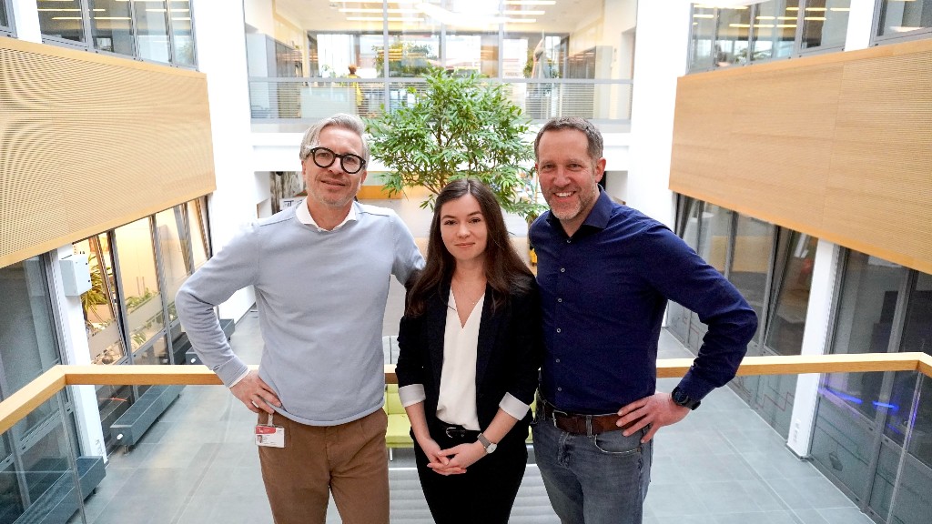 ProFuture – Inklusive Gamification, delta3 und TH OWL